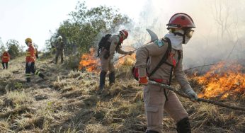 Bombeiros prestaram mais de 63 mil atendimentos nos seis primeiros meses de 2024