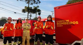 Paraná envia bombeiros para ajudar no combate a incêndios no Pantanal