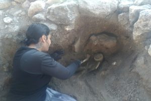 Historiadora explica o uso de radiocarbono na Arqueologia