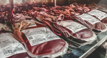 STF decidirá se testemunha de Jeová pode recusar transfusão de sangue
