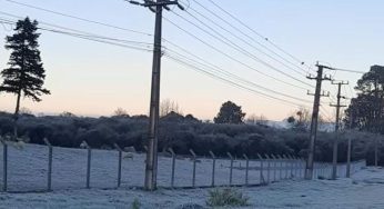 PG e região registram temperaturas negativas neste domingo (11). Veja quantos graus
