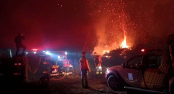 Em 2024, Corpo de Bombeiros já atendeu mais de 9 mil incêndios em vegetação no PR