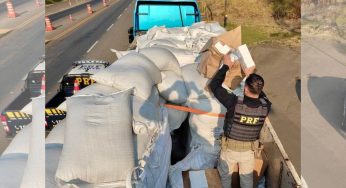 PRF apreende quatro mil celulares contrabandeados na BR-277 em Irati