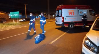 Mulher morre atropelada na avenida Souza Naves em Ponta Grossa