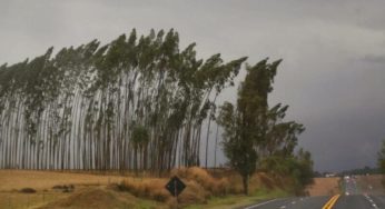 Com alerta de vendaval, mais de 90 cidades do PR estão em risco