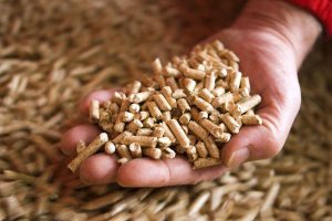 Relatório prevê crescimento do mercado de pellets de madeira