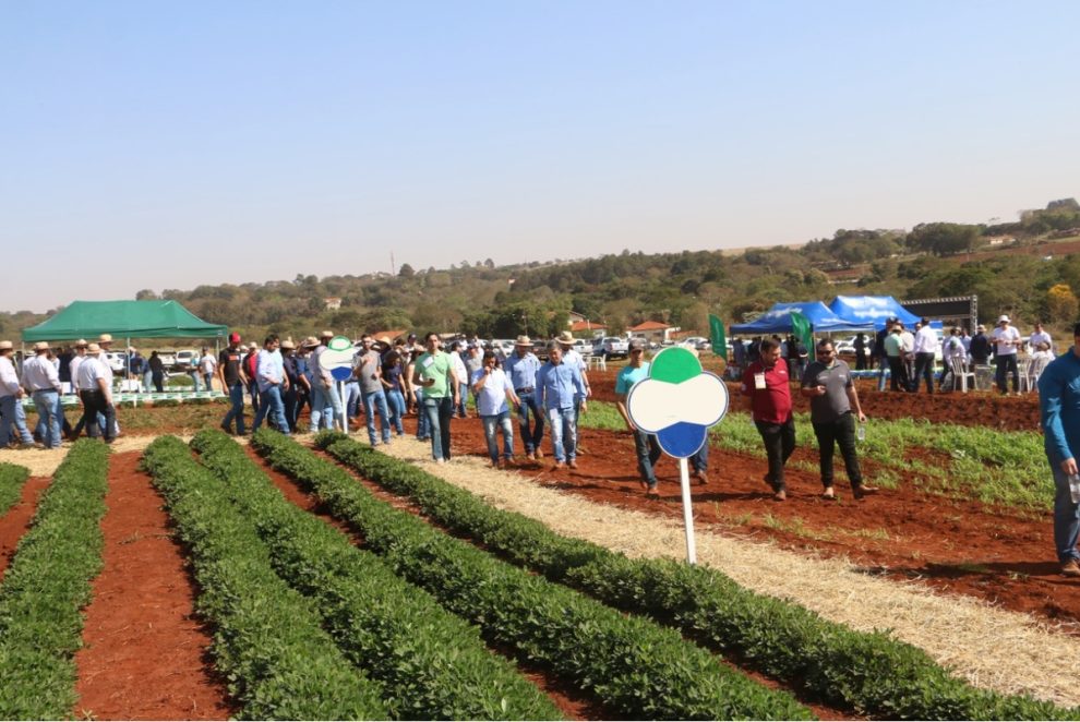 Feira Nacional do Amendoim começa neste dia 7 de agosto