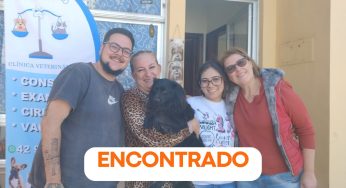 Cachorro Paçoca é encontrado em PG após corrente de divulgação