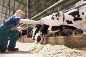 Elanco cresce em receita pelo quarto trimestre consecutivo