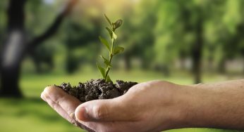 Desktop lança seu primeiro relatório de sustentabilidade