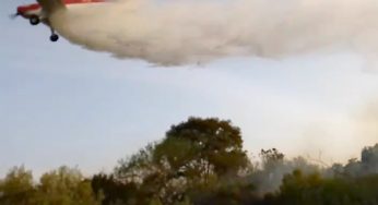 Avião contratado pelo Estado reduziu em 4 horas combate a incêndio em Palmeira