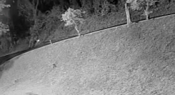 Vídeo: homem coloca fogo em parque de Ponta Grossa