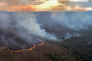 incencio_chapada_veadeiros