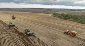 Com fim do vazio sanitário, plantio de soja começa em 5,8 milhões de hectares no Paraná