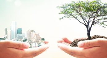 Sustentabilidade pode auxiliar evolução de grandes empresas