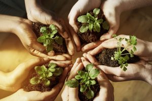 Dia do Educador Ambiental é comemorado em 15 de outubro