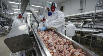 Paraná bate US$ 18,1 bilhões de exportações com liderança de carnes e óleos vegetais