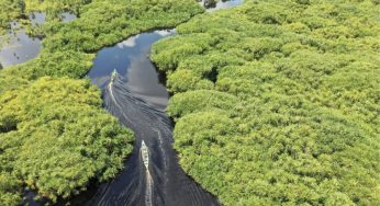 Belterra, na Amazônia, quer ser a “Machu Picchu brasileira”