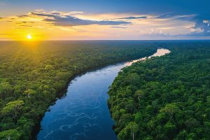 Amazônia é foco de conferência internacional em novembro