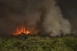 incendio-parque-nacionall_mcamgo_abr_16092024-7