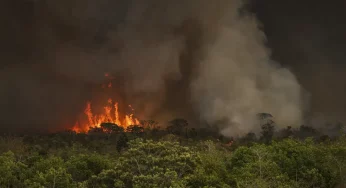 Brasil teve 22,38 milhões de hectares atingidos pelo fogo em nove meses