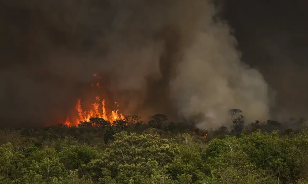 incendio-parque-nacionall_mcamgo_abr_16092024-7