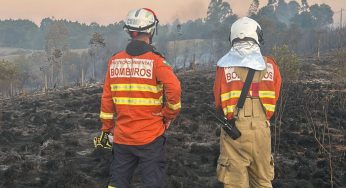 Incêndios florestais caem 57% entre a primeira quinzena de setembro e outubro no Paraná