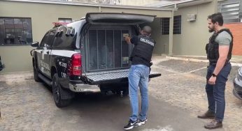 Suspeito de matar adolescente no bairro Ouro Verde é preso em PG