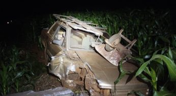 Motorista perde o controle e colide com poste em rodovia da região