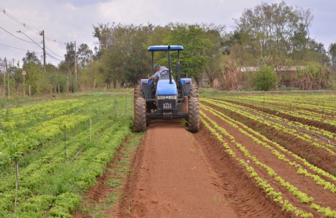 agricultura