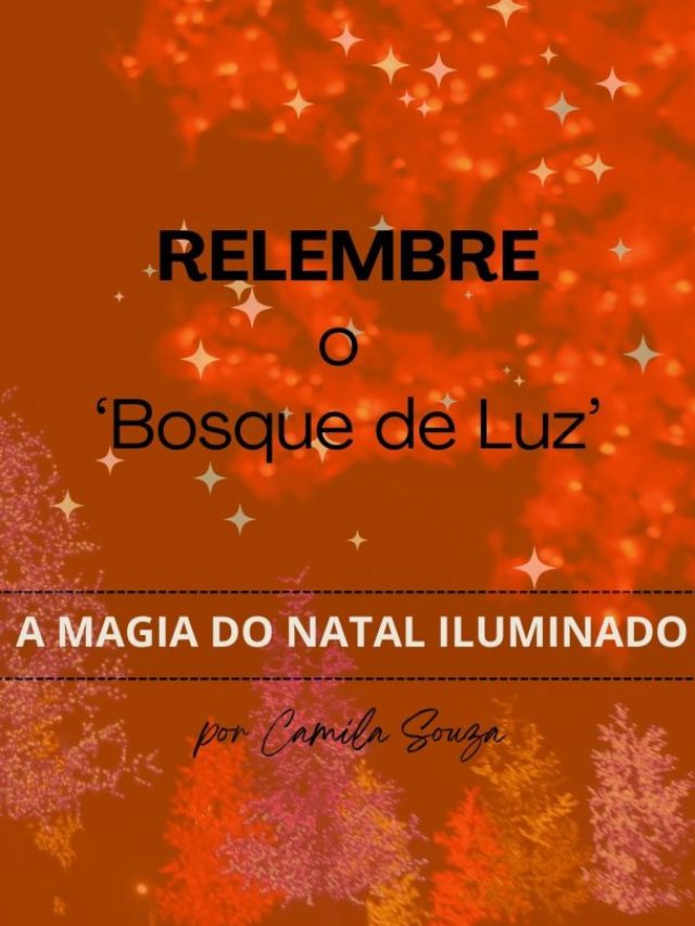 Relembre o Bosque de Luz de Ponta Grossa