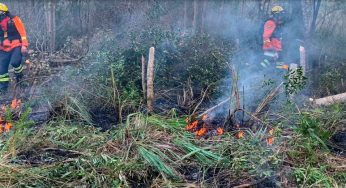 Incêndios: ano já teve o dobro de ocorrências de 2023