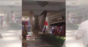 Shopping se manifesta sobre desabamento de parte do teto em PG