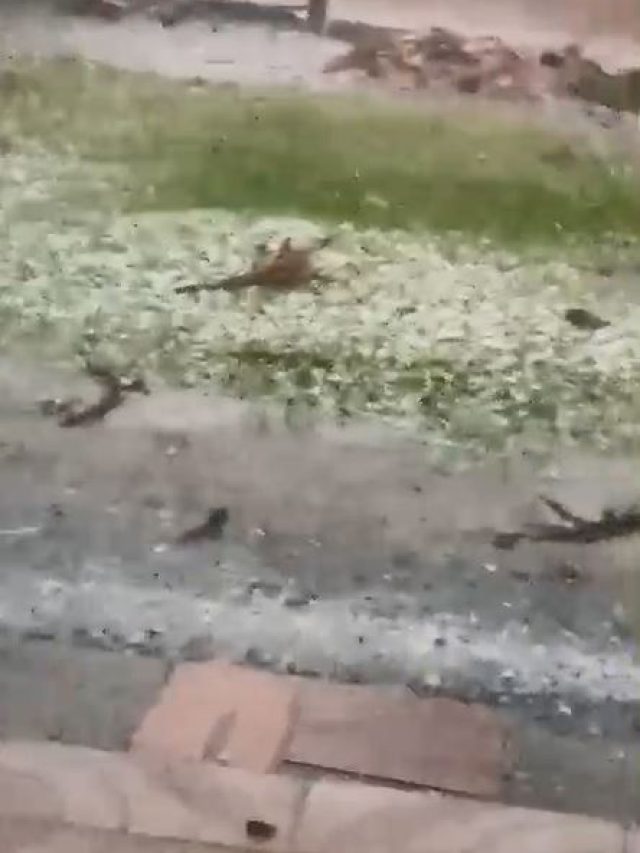 Chuva de granizo assusta moradores do Roxo Roiz