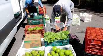 Pequenos negócios: PR adquire R$ 2 bilhões em produtos e serviços