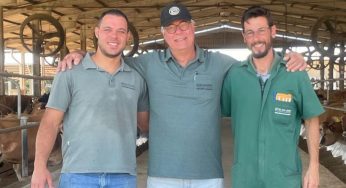 Maior criador de jersey do Brasil é cooperado da Frísia em Carambeí