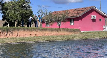 Piscicultura: abate de peixes fica depende de adaptações do abatedouro