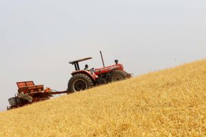 Plantio de milho Entre Rios 12092019 FotoJaelson Lucas AEN