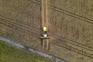 Produção agrícola Boca no Trombone 31092021 – Plantação de trigo região de TibagiPr Foto Gilson AbreuAEN