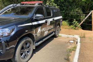 Polícia Civil de Castro prende dois homens por violência doméstica