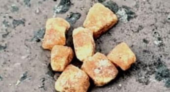 Polícia Militar flagra homem com crack em banheiro público no Centro de Ponta Grossa