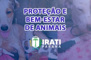 Defesa Animal de Irati divulga balanço de ações de janeiro