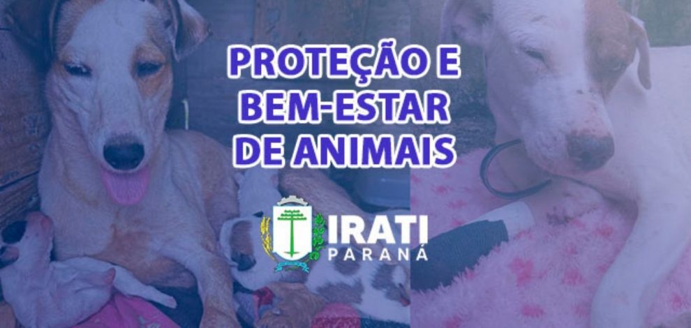 Defesa Animal de Irati divulga balanço de ações de janeiro Boca no Trombone Defesa Animal de Irati divulga balanço de ações de janeiro