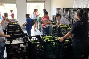 Programa de Aquisição de Alimentos beneficia famílias em Ortigueira