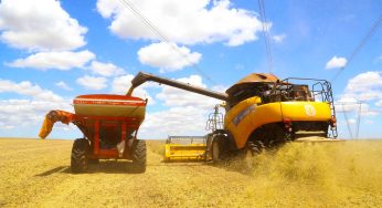 Agricultores paranaenses já colheram mais de 90% da safra de soja