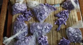 Forças do Estado apreendem 1,1 mil porções de cocaína e desarticulam delivery de drogas