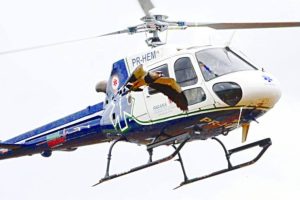 Cópia de REPORTAGEM 2024 bnt - 2025-04-21T133048743 Boca no Trombone Cópia de REPORTAGEM 2024 bnt – 2025-04-21T133048743