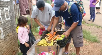 Feira Verde estará em 14 pontos de distribuição nesta terça-feira (22); confira