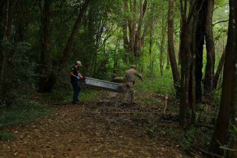 Moradores encontram cadáver no Balneário Rio Verde 16 Boca no Trombone Moradores encontram cadáver no Balneário Rio Verde 16