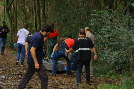 Moradores encontram cadáver no Balneário Rio Verde 4 Boca no Trombone Moradores encontram cadáver no Balneário Rio Verde 4